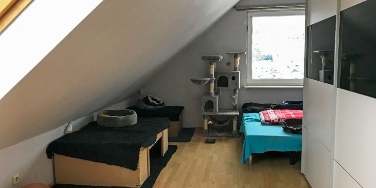 Schlaf- / Kinderzimmer DG