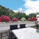 Dachterrasse mit Waldblick