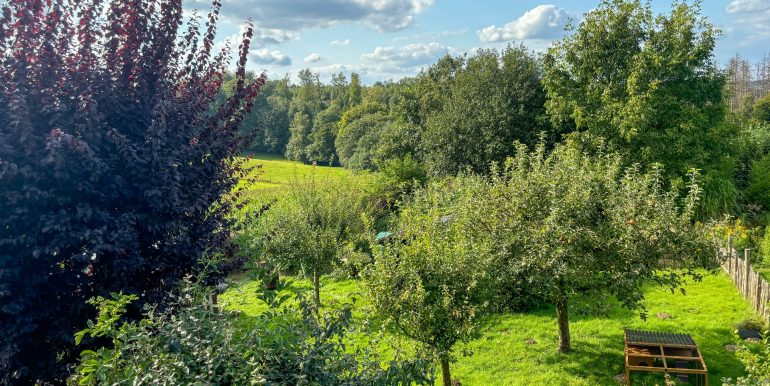 Blick auf den eigenen Garten