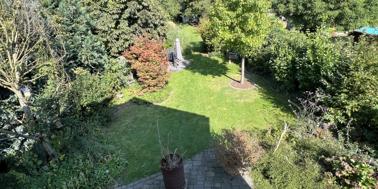 Blick in den Garten