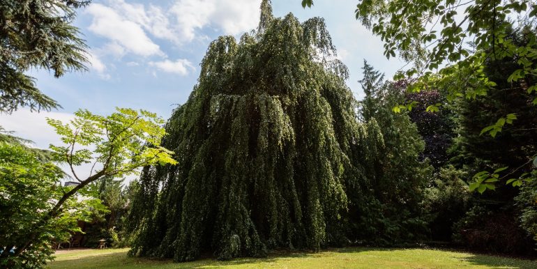 Eindrücke des parkartigen Garten